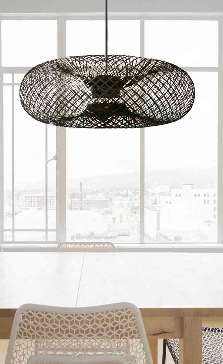 Doughnut Ceiling Lamp 5B