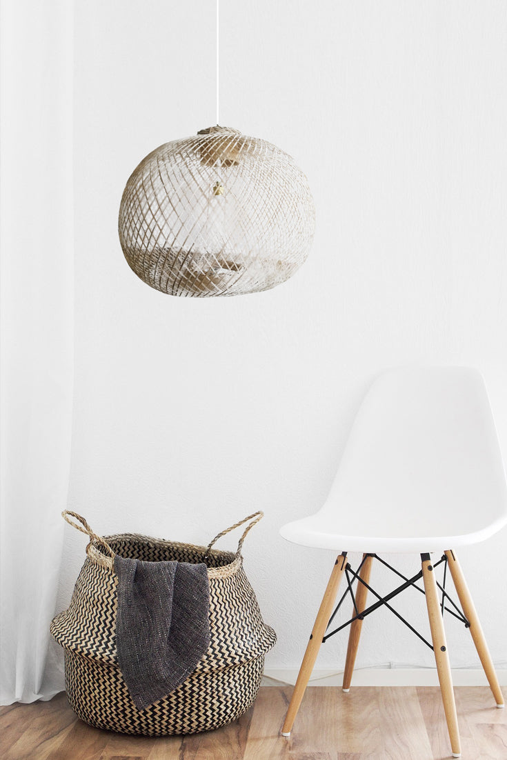 Apple Ceiling Lamp 2C