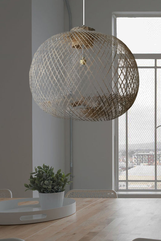 Apple Ceiling Lamp 2C