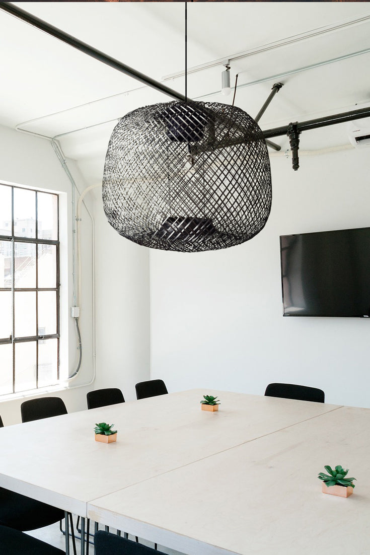 Apple Ceiling Lamp 6C