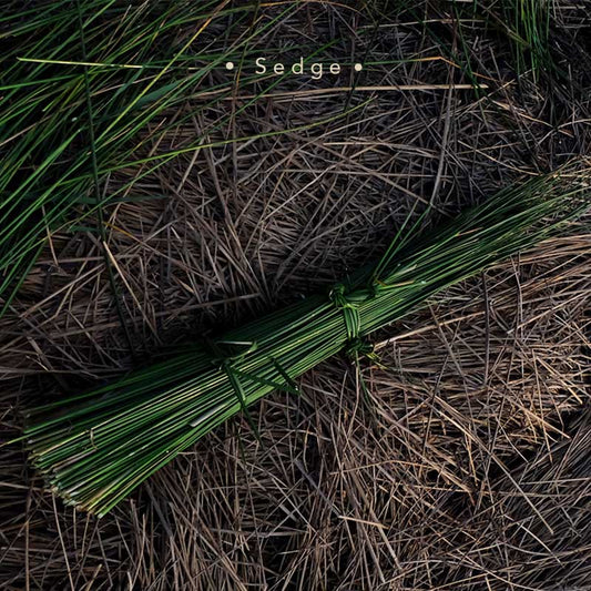 Chanthaburi Sedge for Handwoven Thai Mats