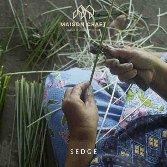 Knowing Sedge Grass Well