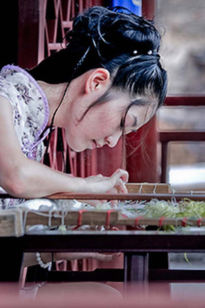 A LEGEND OF SUZHOU WOMEN ตำนานสาวแห่งซูโจว