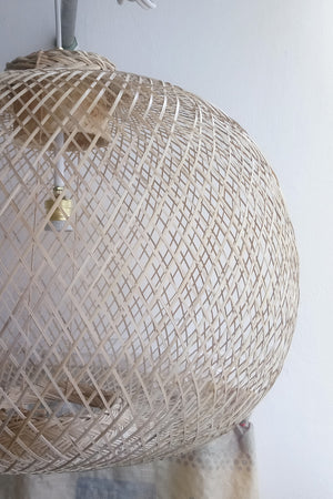 Apple Ceiling Lamp 4C