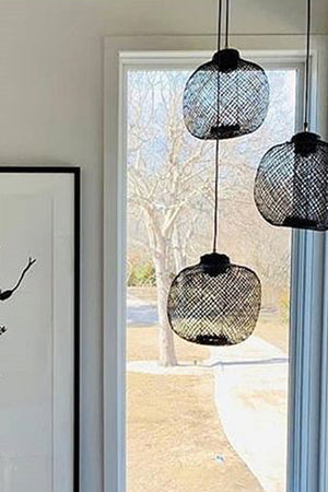 Apple Ceiling Lamp 2C